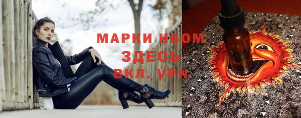 mdpv Бородино
